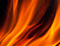 A City full of vitality